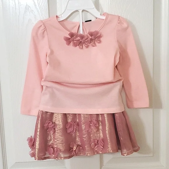 NWT New Baby Gap Girls Two Piece Set 18-24M Long Sleeve Top and 2 Years Skirt - Picture 1 of 8